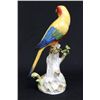 Image 5 : 19th c. Meissen porcelain "Parrot on a Limb"