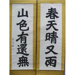Pair Chinese "Calligraphy" scrolls