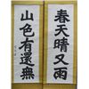 Image 1 : Pair Chinese "Calligraphy" scrolls