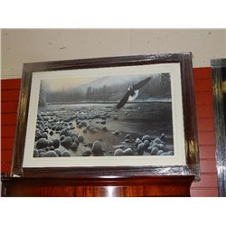 FRAMED PRINT "EAGLE OVER WATER - K DANIEL