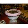 Image 1 : CONCRETE - PLANTER - PINK