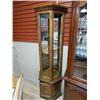 Image 1 : BURNT OAK TALL SLIM LINE CURIO CABINET - STORAGE IN BASE