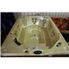 Image 2 : CAL SPAS 11' HOT TUB WITH VANILLA PEARL  INTERIOR AND TEAK  EXTERIOR. COMES WITH 47 JETS,