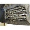 Image 1 : METAL BOX OF ASSORTED SIZE LARGE DRILL BITS