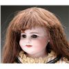 Image 1 : GERMAN BISQUE SHOULDER HEAD DOLL.