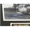 Image 2 : 13X14 BASEBALL PHOTO AUTOGRAPH TED WILLIAMS COA