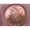 Image 1 : 1896 Morgan Dollar Ch MS64 PCGS