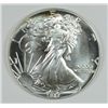 Image 1 : 1987 SILVER AMERICAN EAGLE