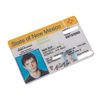 Image 1 : Roswell (TV) - Max's Fake Drivers License (Jason Behr)