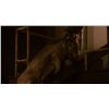 Image 11 : Saw III - Prop Pig