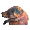 Image 4 : Saw III - Prop Pig