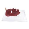 Image 2 : Hellboy - Hellboy's Face Appliance (Ron Perlman)