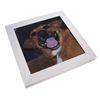 Image 3 : How I Met Your Mother (TV) - Arthur Hobbs' & Dog Framed Photos