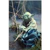 Image 10 : Star Wars: Episode V - The Empire Strikes Back - Yoda's Hand