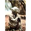 Image 11 : Star Wars: Episode V - The Empire Strikes Back - Yoda's Hand