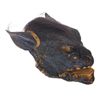 Image 2 : Underworld - Lycan Prosthetic Head