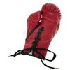Image 2 : Fight Club - Signed Boxing Glove (Oscar De La Hoya)