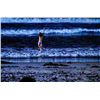 Image 8 : Point Pleasant (TV) - Paula Hargrove's Bikini (Cameron Richardson)
