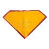 Image 2 : Superman Lives - Nicolas Cage's Superman Chest Emblem