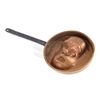 Image 2 : The Pirates! In an Adventure with Scientists - Queen Victoria's 'Darwin Face' Frying Pan
