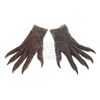 Image 1 : Underworld: Evolution - Lycan Costume Hands