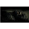 Image 8 : Underworld: Evolution - Michael's Face Appliance (Scott Speedman)