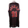Image 1 : Dennis Rodman