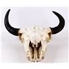 Image 2 : Montana Buffalo Bison Skull