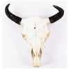 Image 5 : Montana Buffalo Bison Skull