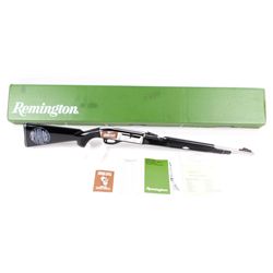 Remington Nylon 66 Apache Black Rifle with Box