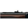 Image 5 : Scarce Winchester Model 71 Deluxe Lever Action Carbine