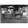 Image 3 : Rare Winchester Advertising Umbrella