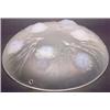 Image 1 : A Sabino, Paris opalescent glass plaffonier moulded with fruiting plant forms in relief, etched s...
