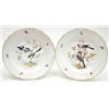 Image 1 : A pair of 19th century Meissen wall plates 'outside decorated' with birds and floral sprigs in br...
