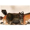 Image 8 : Esco Coin Operated Pony Ride