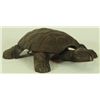 Image 1 : Turtle Spittoon