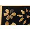 Image 2 : 39 Framed Arrow Heads