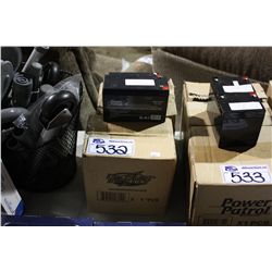 LOT OF SCOOTER BATTERIES