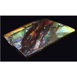 2.9ct Glowing Canada Ammolite Solid Cab Appr $595 (GEM-055235)