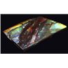 Image 1 : 2.9ct Glowing Canada Ammolite Solid Cab Appr $595 (GEM-055235)