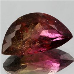 12.6ct Watermelon Tourmaline Fancy Cut (GEM-051306)