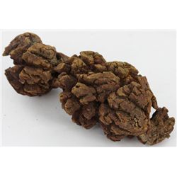 645ct Crystalized Coprolite Dinosaur Doo Cluster (MIN-002722)
