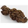 Image 1 : 645ct Crystalized Coprolite Dinosaur Doo Cluster (MIN-002722)