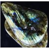 Image 1 : 125ct Delicate Potato Chip Cut Labradorite Cabochon (MIN-003524)