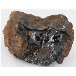 184gm Unique Volcanic Obsidian Mineral Specimen (MIN-004037)