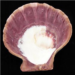 Shell Soapdish (DEC-000686)