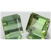 Image 1 : 3.25ct Green Tourmaline Emerald Cut Parcel (GEM-055801)