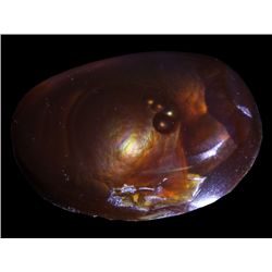 9ct Super HOT Mexican Fire Agate Mine Cut Cabochon (GEM-051534)