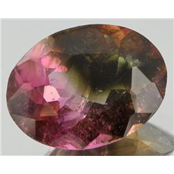 1.75ct Watermelon Tourmaline Oval Cut (GEM-055119)