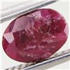 Image 1 : 0.95ct Ruby Untreated Oval (GEM-042279)